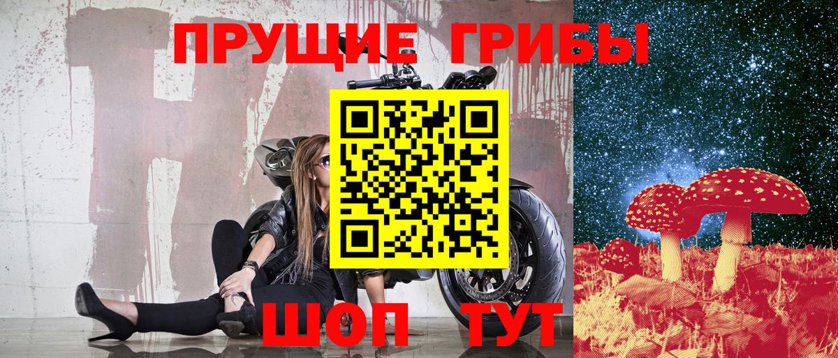 Кисловодск  Псилоцибиновые грибы прущие грибы  купить наркотики сайты  Вход с VPN 